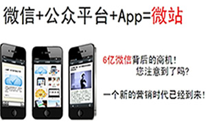 ������΢����վ